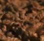 NewMoon_Teaser0039.jpg