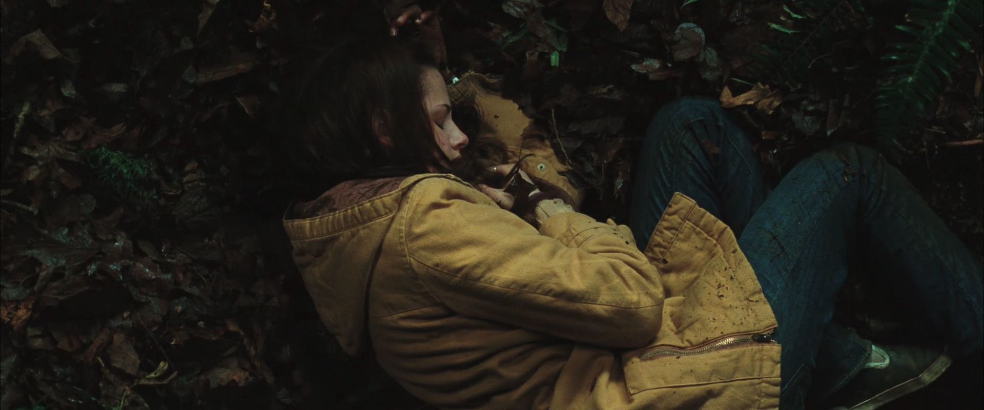 NewMoonTrailer0040.jpg
