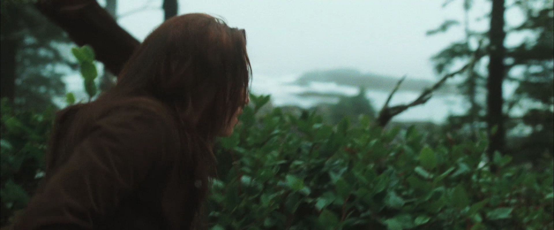 NewMoonTrailer0069.jpg
