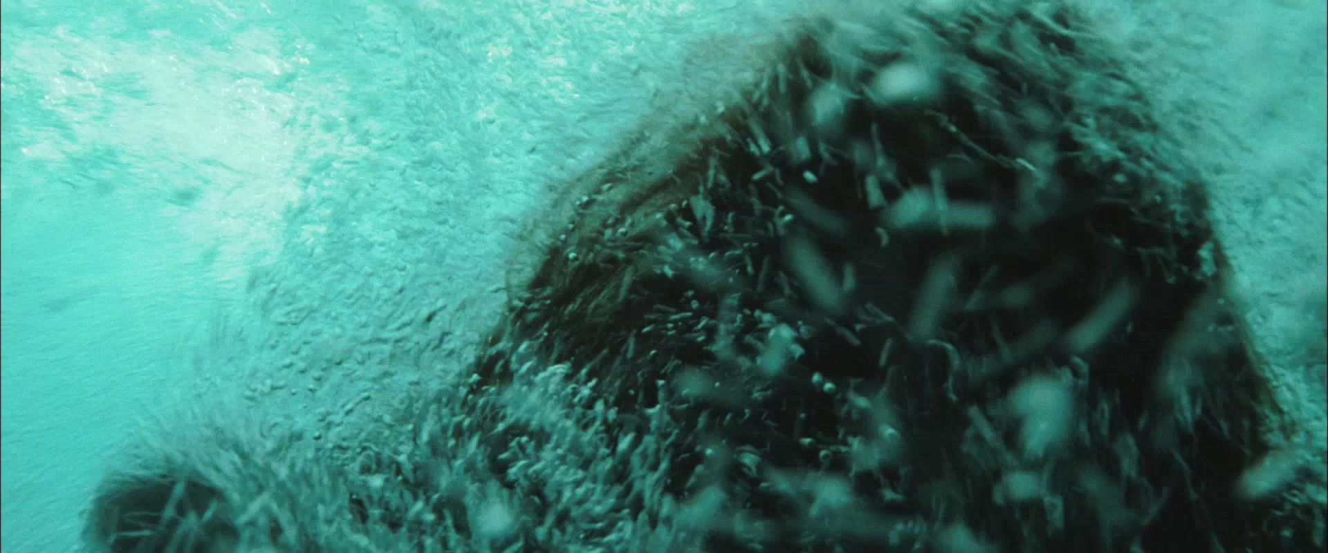 NewMoonTrailer0081.jpg