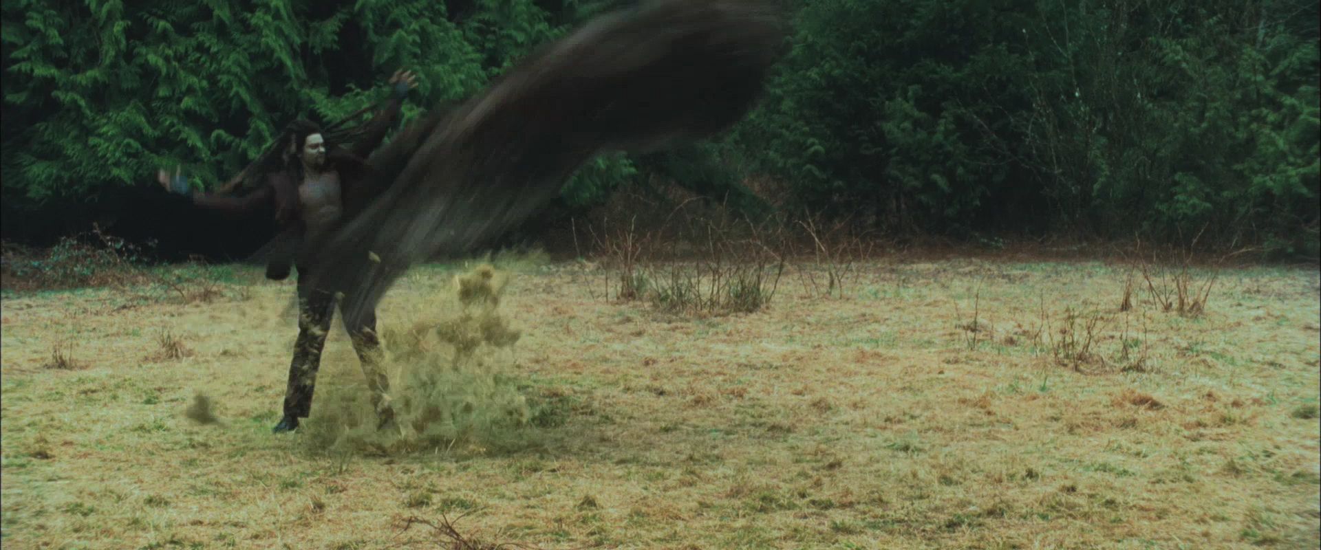 NewMoonTrailer0150.jpg