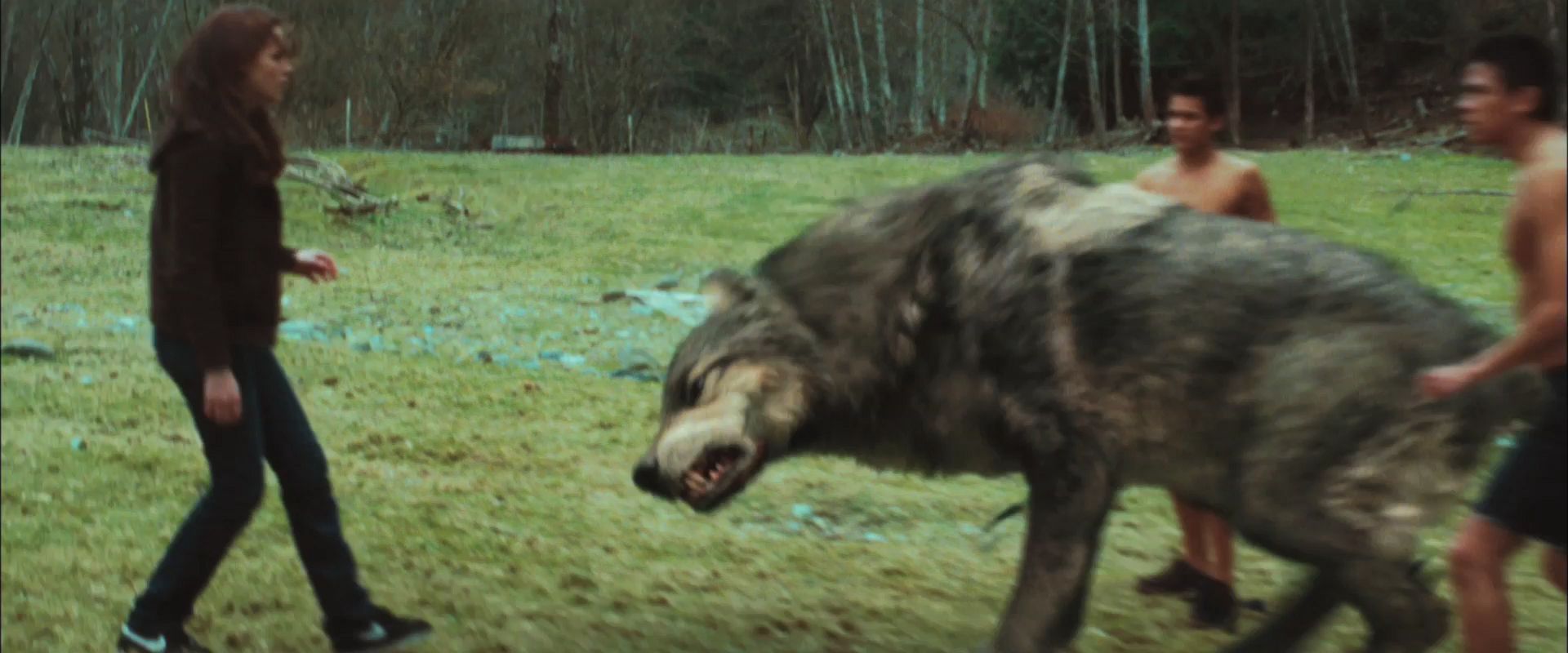 NewMoonTrailer0159.jpg
