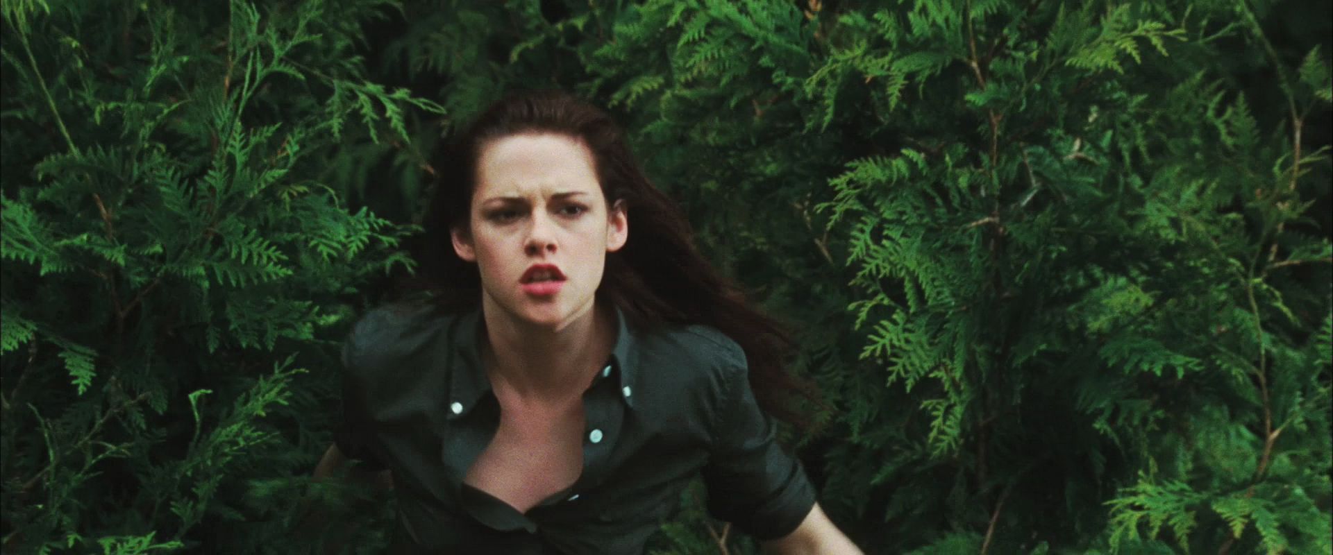 NewMoonTrailer0163.jpg