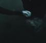 NewMoonTrailer0091.jpg