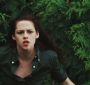 NewMoonTrailer0163.jpg