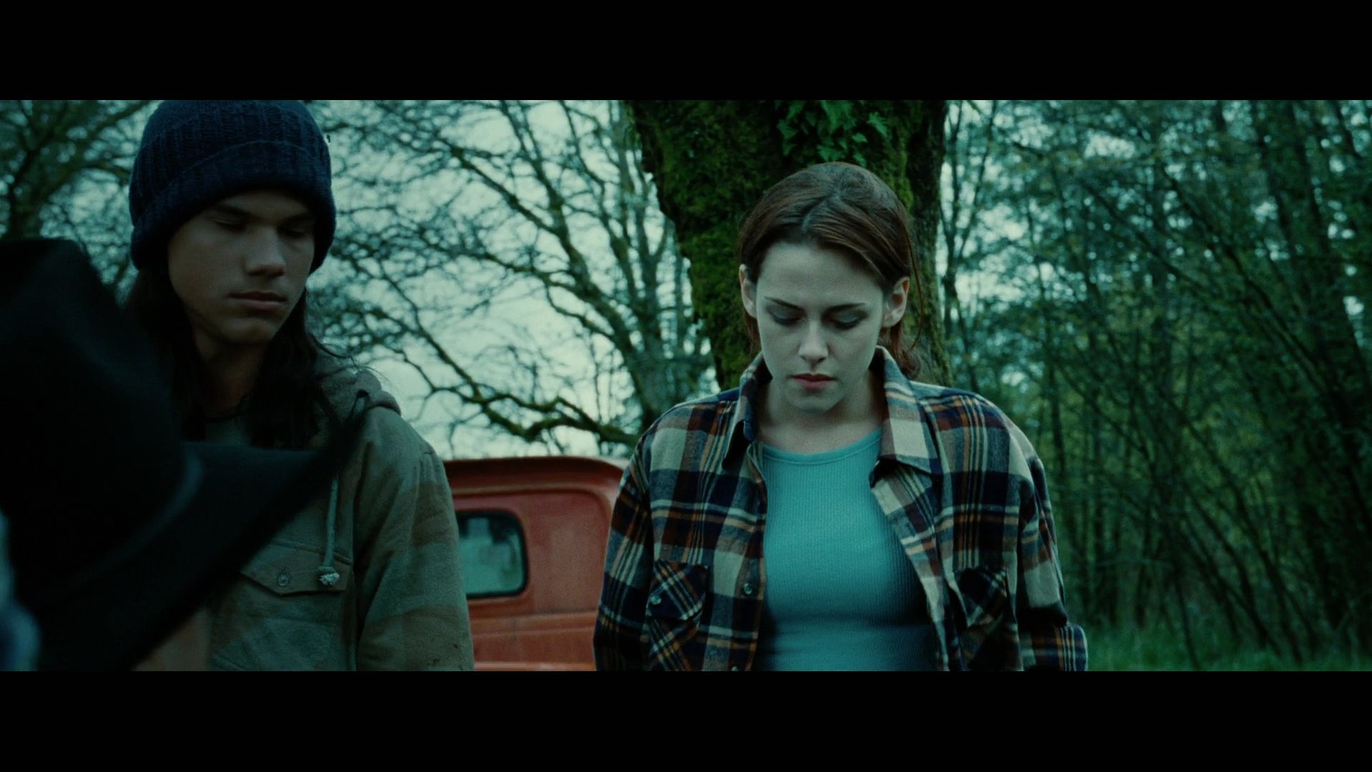 Twilight2010.jpg