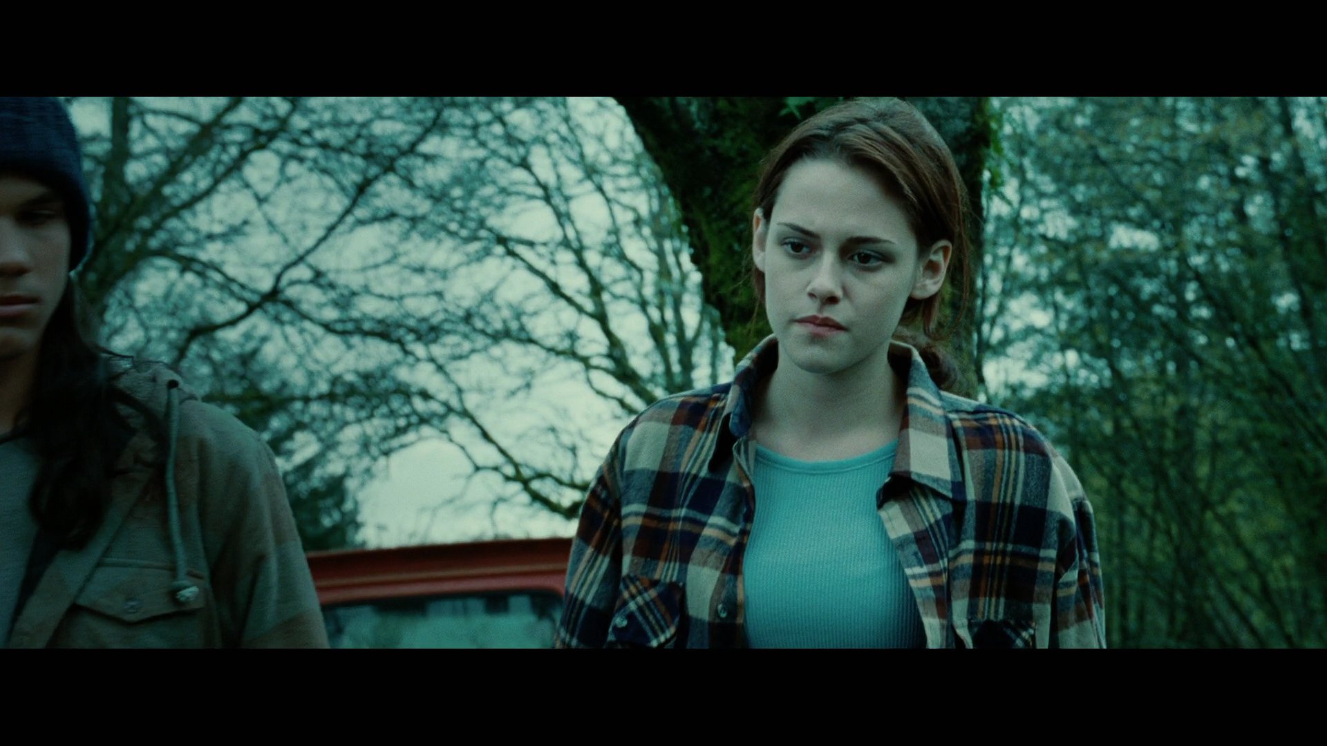 Twilight2011.jpg