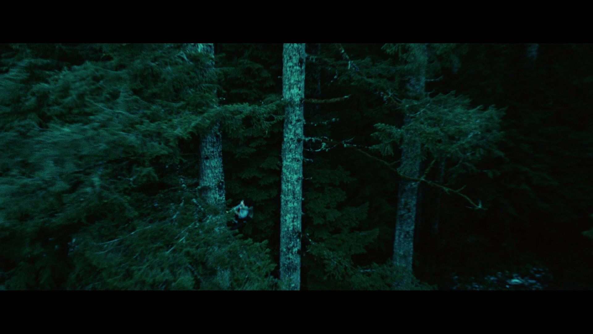 Twilight2243.jpg