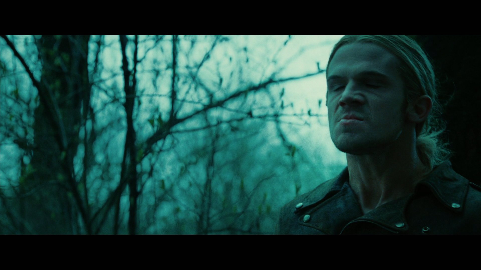Twilight2936.jpg