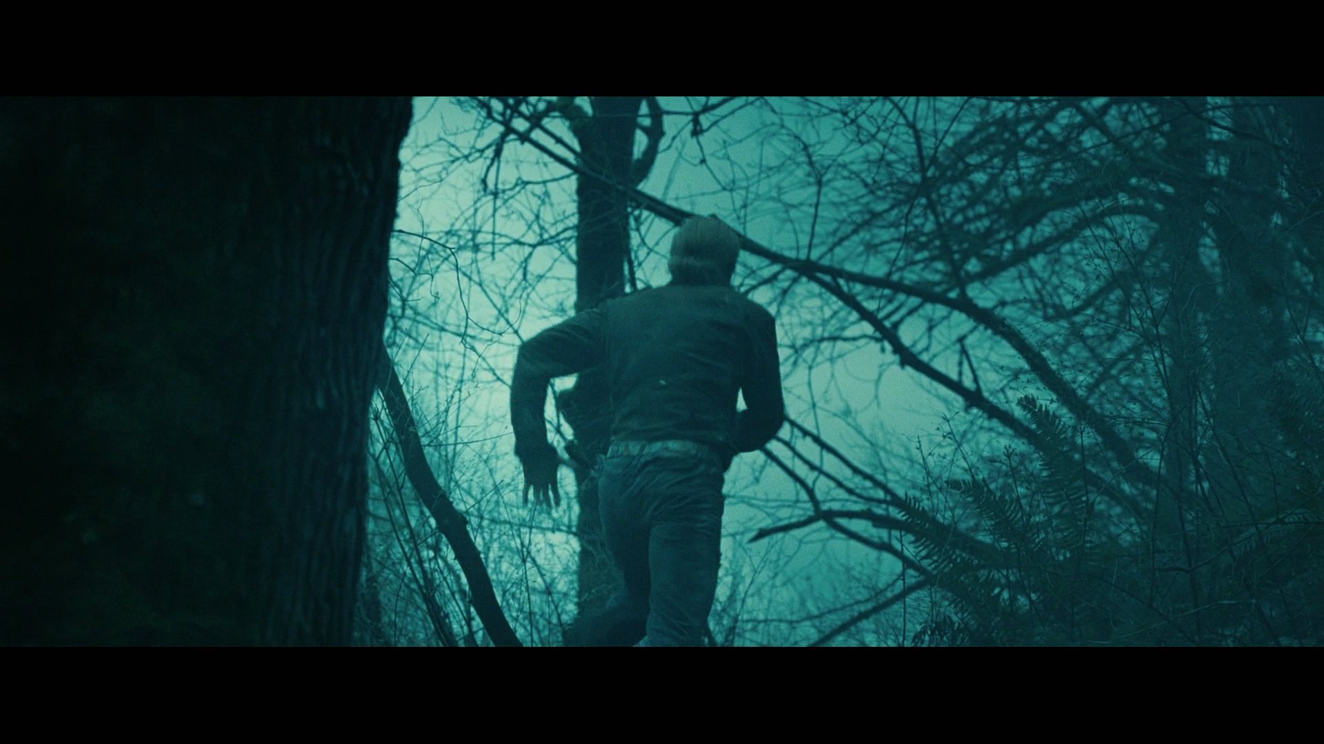 Twilight2955.jpg