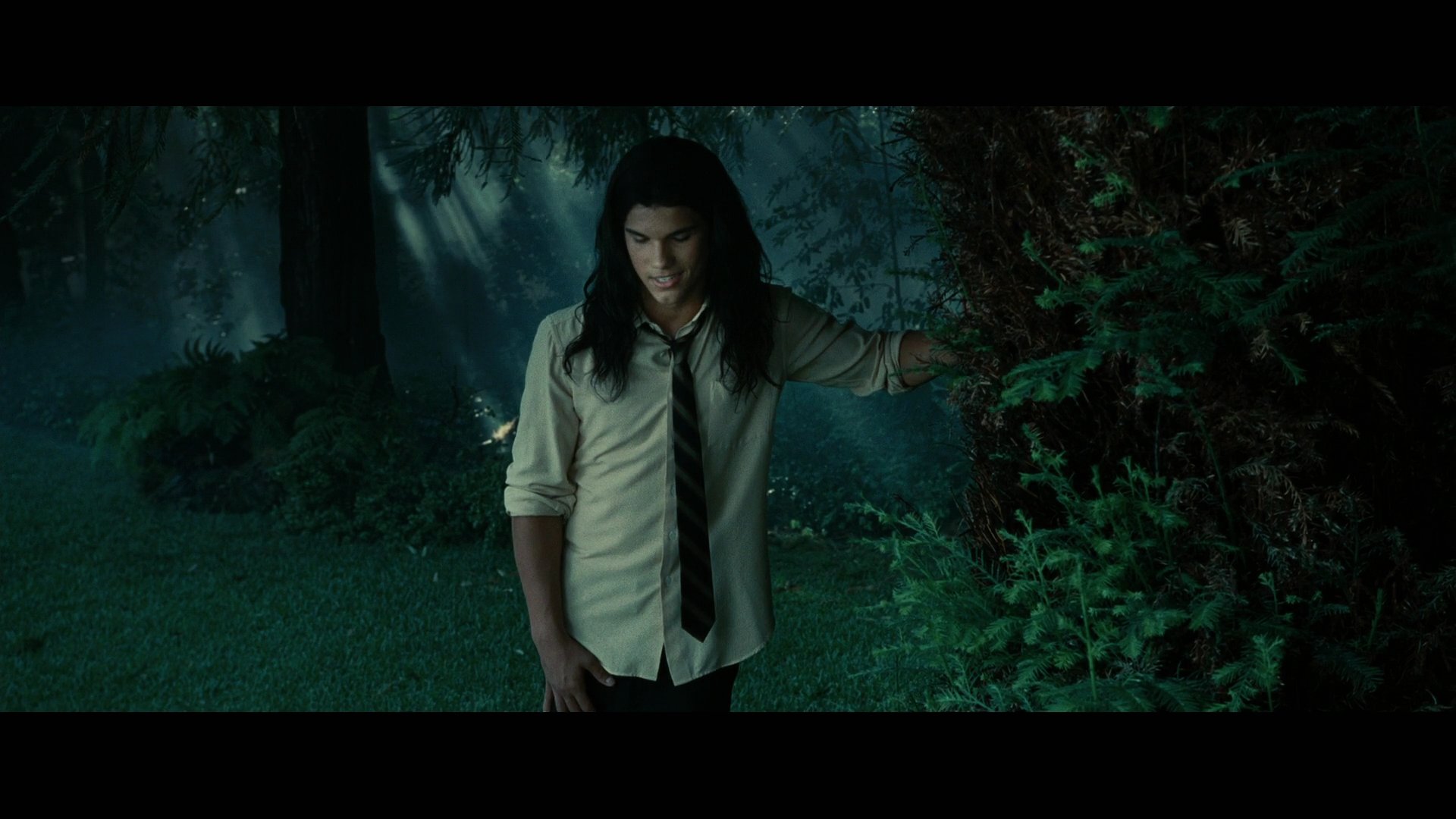Twilight3486.jpg