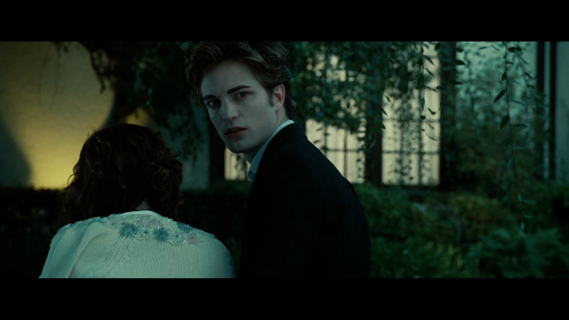 Twilight3520.jpg