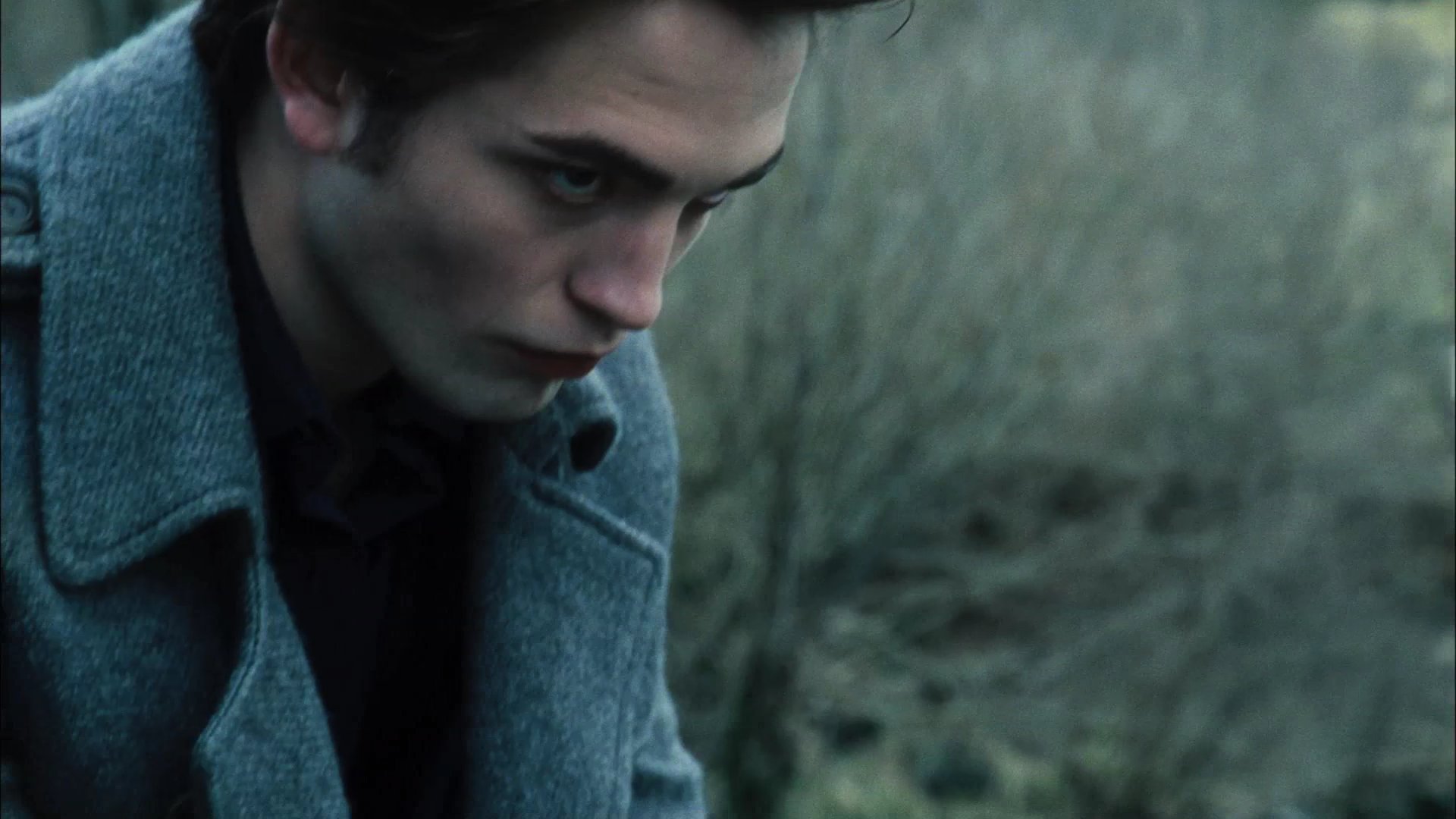 Twilight_TVSpot0002.jpg