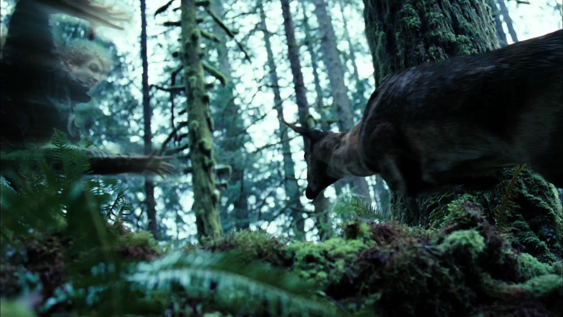 Twilight_TVSpot0005.jpg