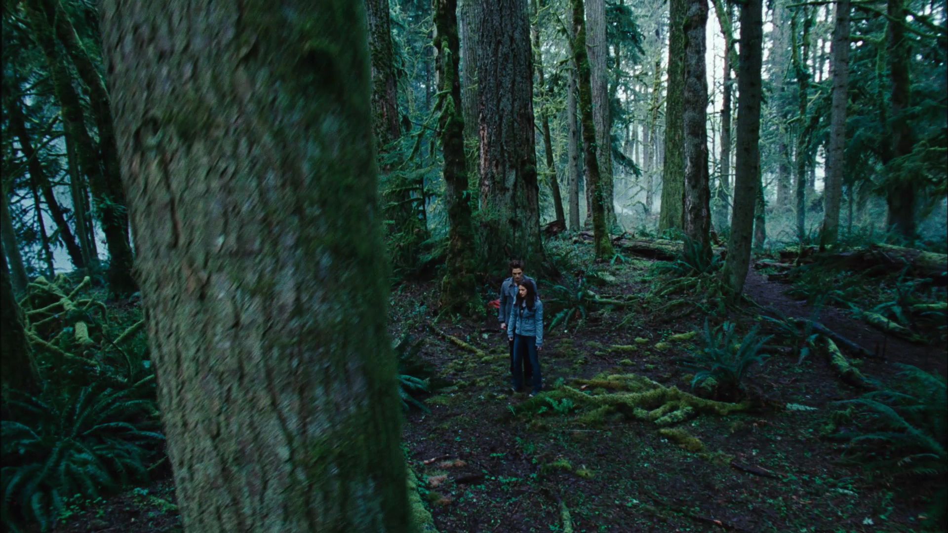 TwilightTeaser1_0002.jpg