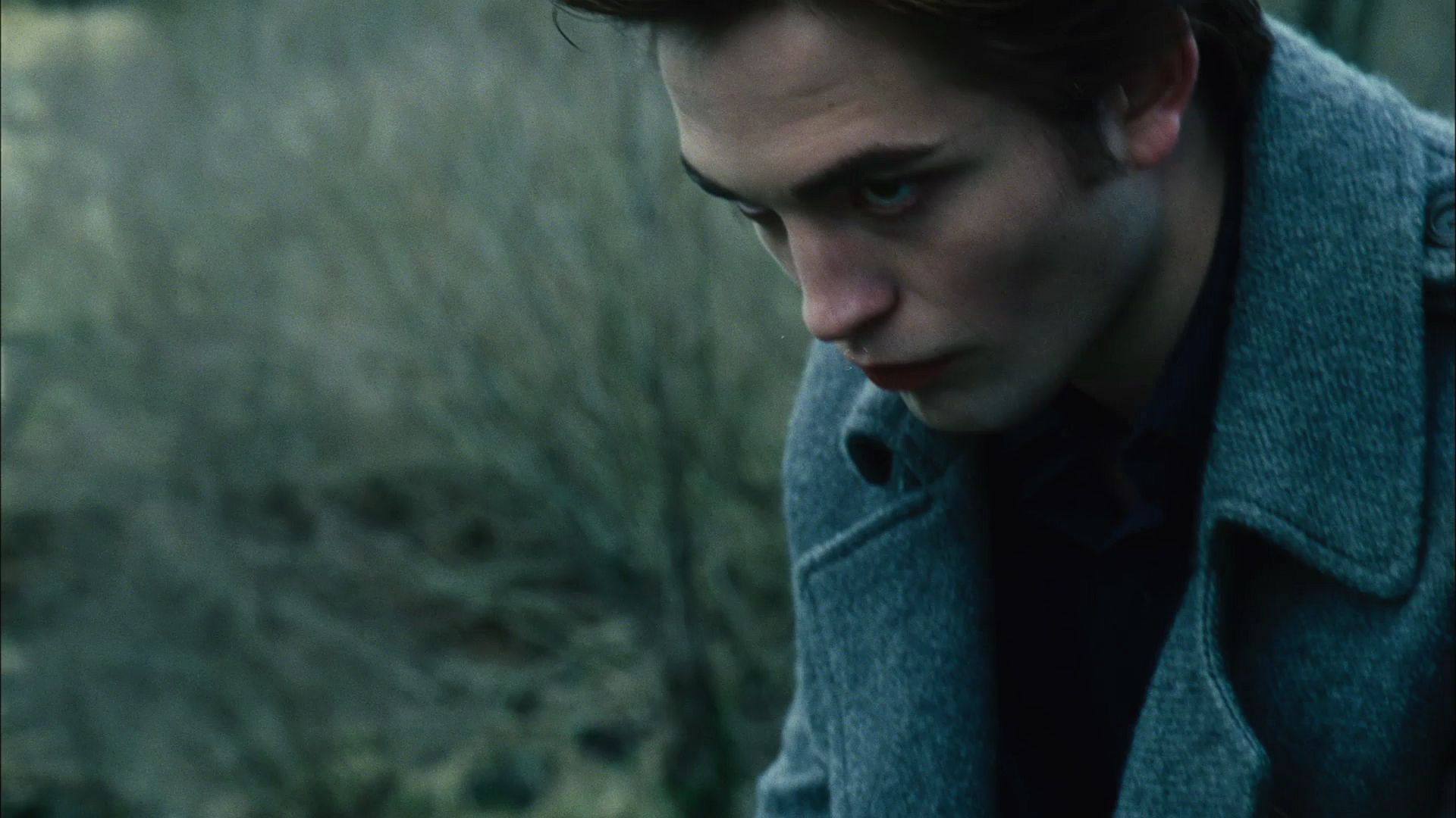 TwilightTeaser1_0006.jpg
