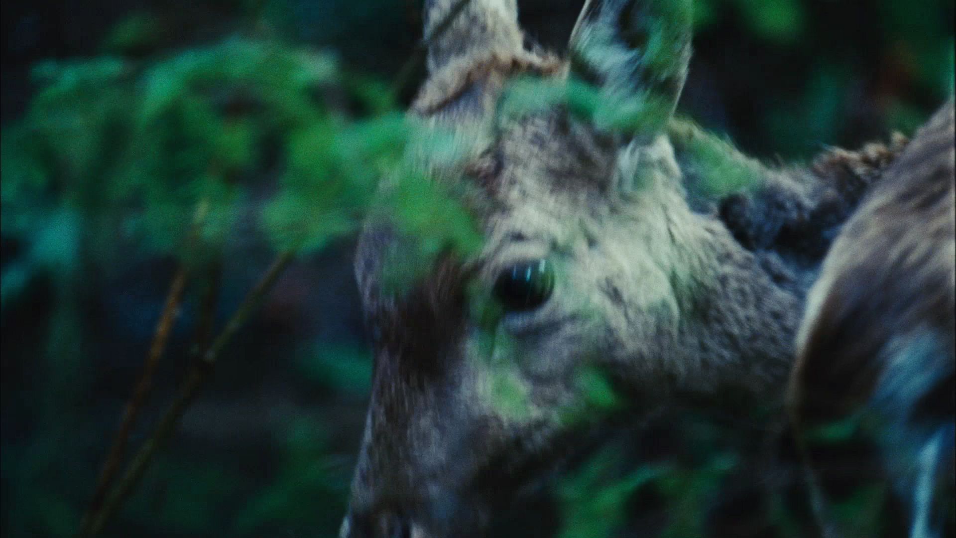 TwilightTeaser1_0008.jpg