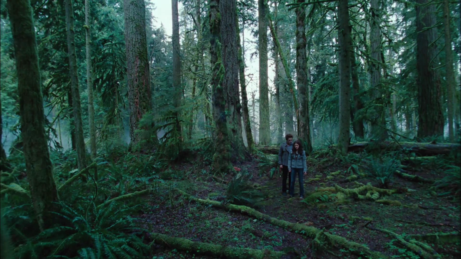 TwilightTeaser2_0019.jpg