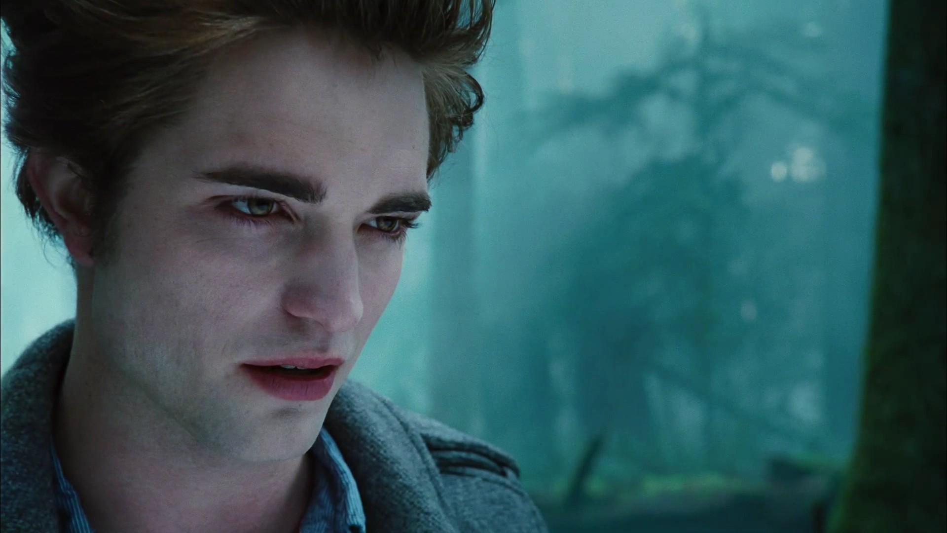 TwilightTeaser2_0028.jpg