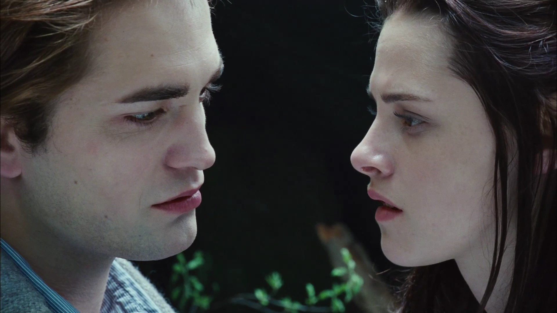TwilightTeaser2_0033.jpg