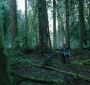 TwilightTeaser2_0018.jpg
