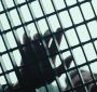 TwilightTeaser2_0044.jpg