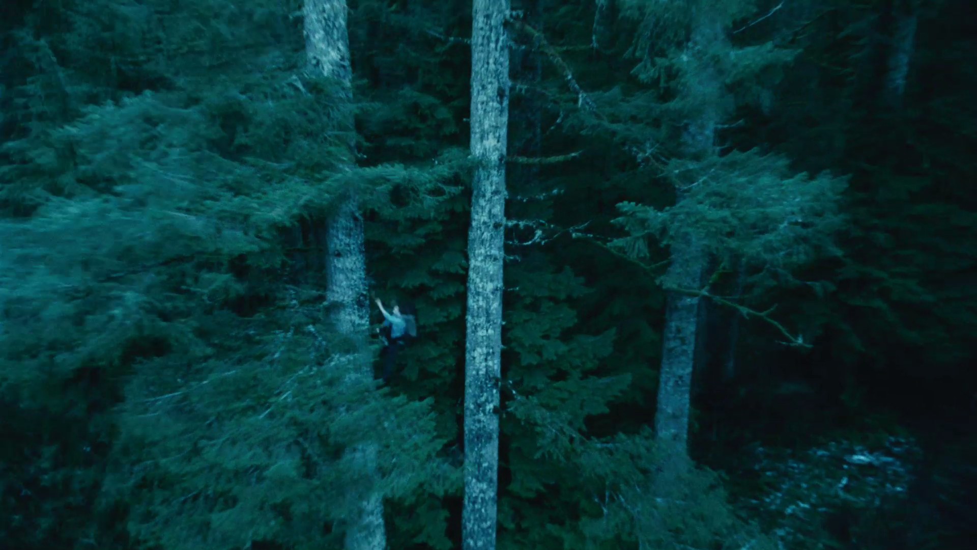 TwilightTrailer0044.jpg
