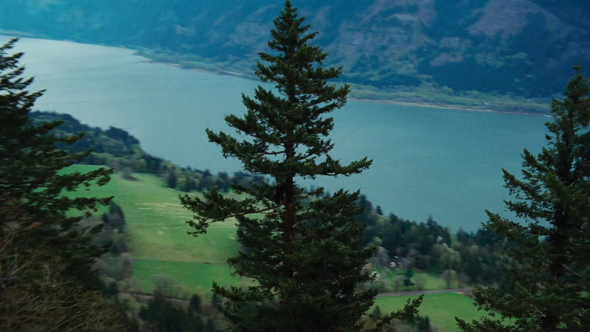 TwilightTrailer0084.jpg