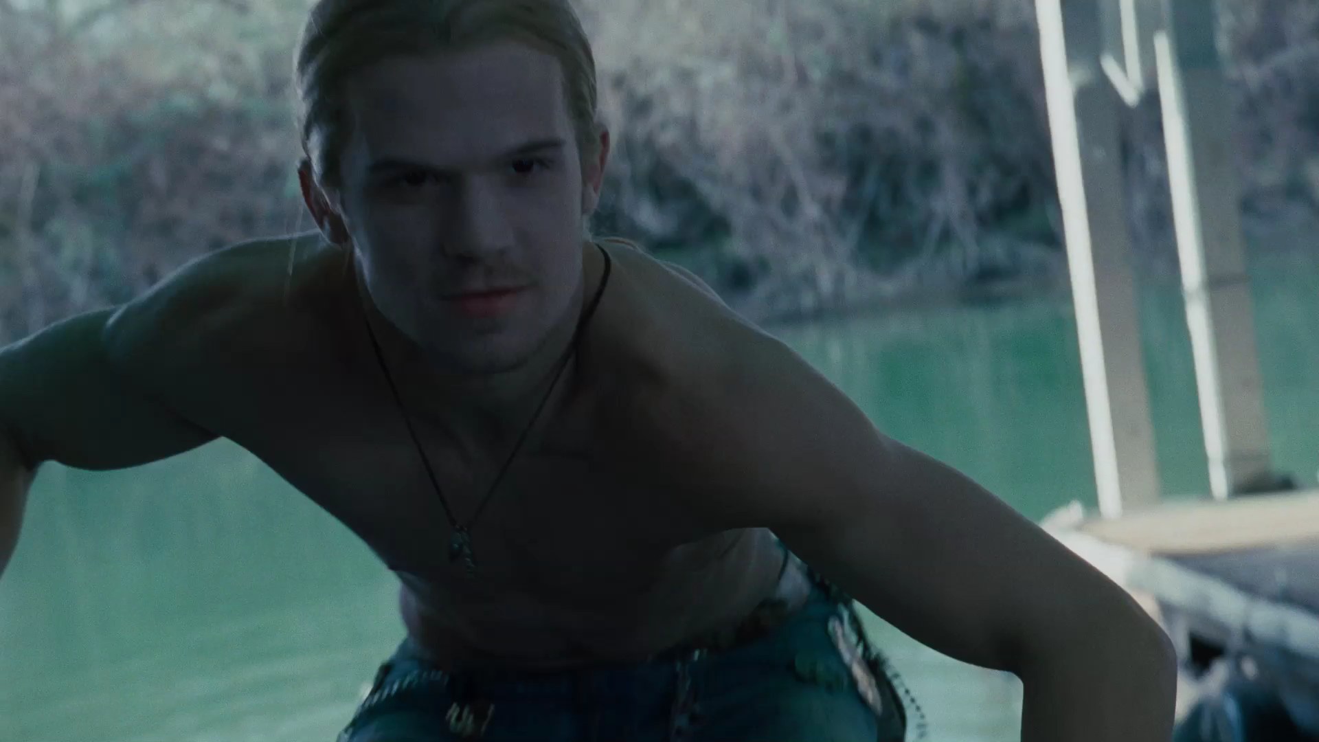 TwilightTrailer0110.jpg