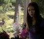 206VampireDiaries0506.jpg