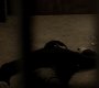 222VampireDiaries0812.jpg