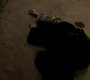 222VampireDiaries0819.jpg