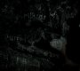 308VampireDiaries0178.jpg