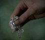 311VampireDiaries0366.jpg