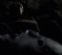 415VampireDiaries0828.jpg