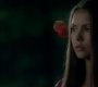 TVD_1610.jpg