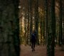 Filename=TVD_0017.jpg
Filesize=116KiB
Dimensions=1280x718
Date added=Jan 29, 2017 TVD_0017.jpg